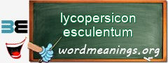 WordMeaning blackboard for lycopersicon esculentum